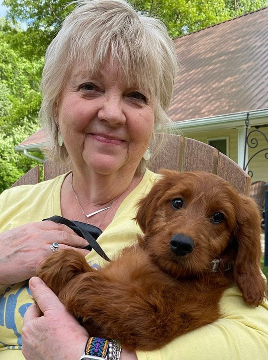 Meet Doc, An Adorable Doodle Dog